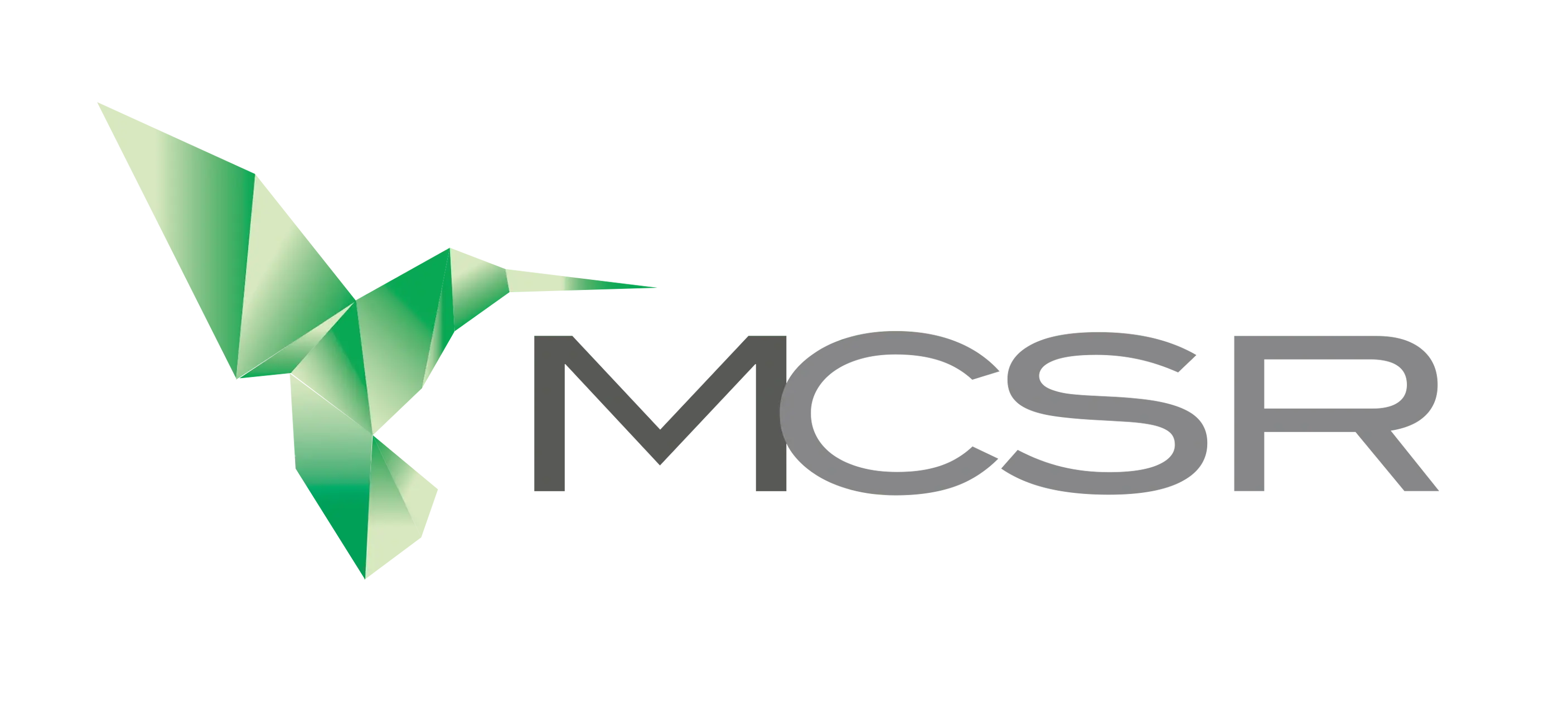 MC Advisory CSR - portafoglio Cambiamento climatico