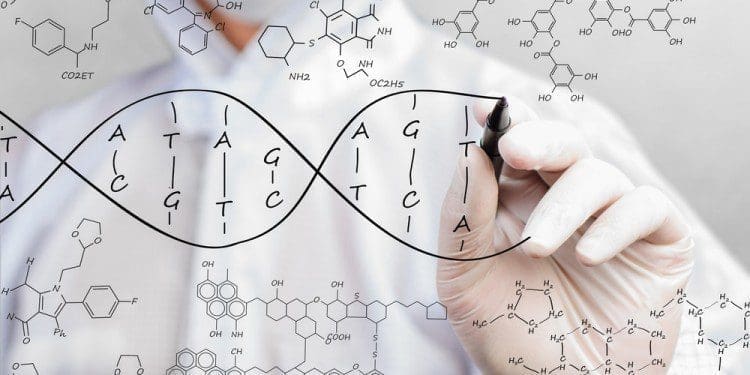 genoma-dna-genomica