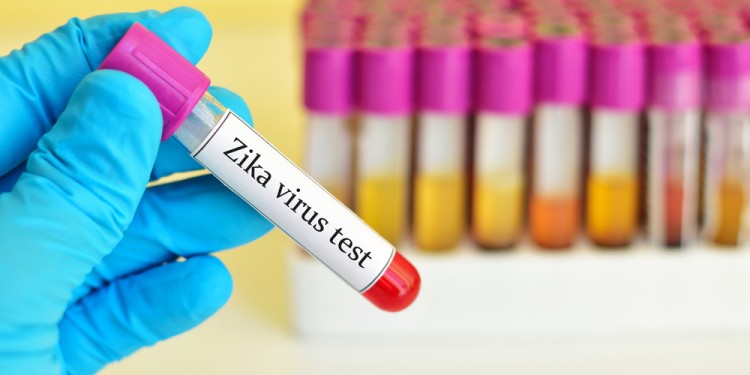 zika virus vaccino