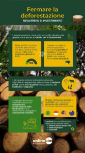 deforestazione infografica