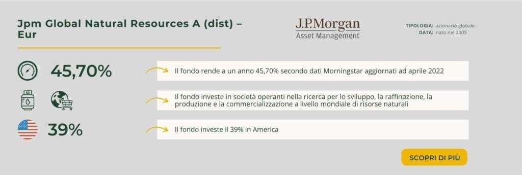 Jpm Global Natural Resources A (dist) – Eur