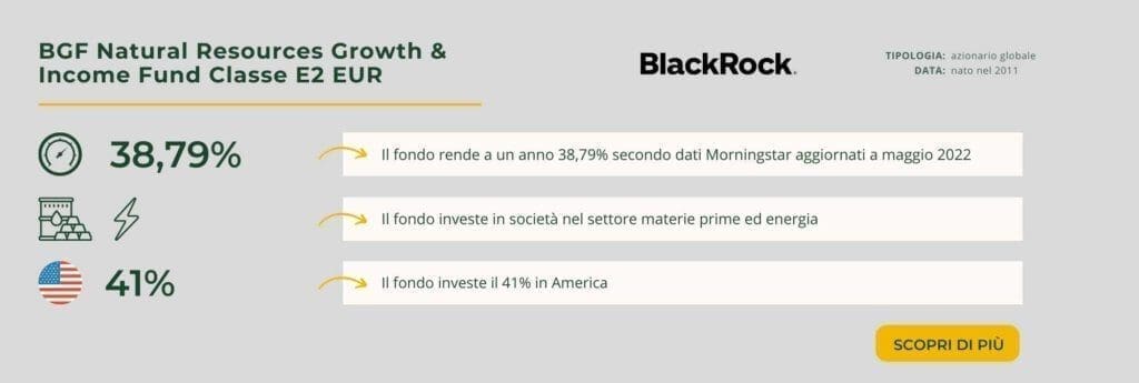 BGF Natural Resources Growth & Income Fund Classe E2 EUR