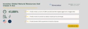 Investec Global Natural Resources Usd Classe A Acc