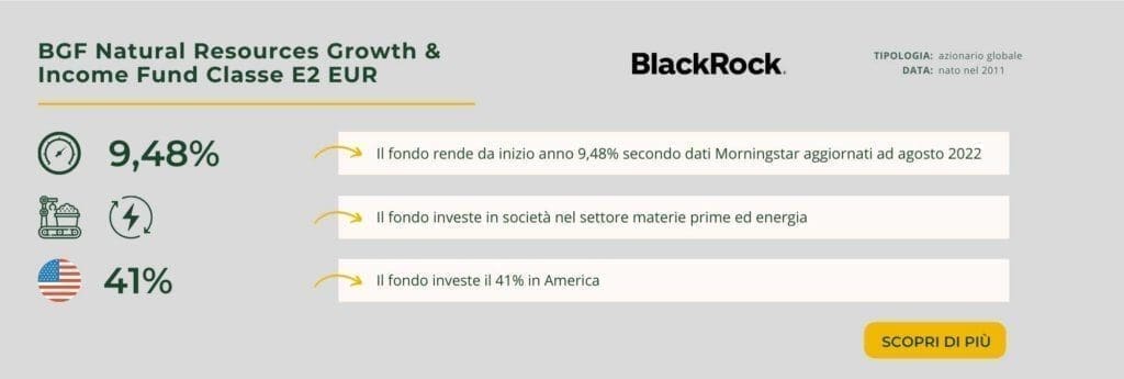 BGF Natural Resources Growth & Income Fund Classe E2 EUR