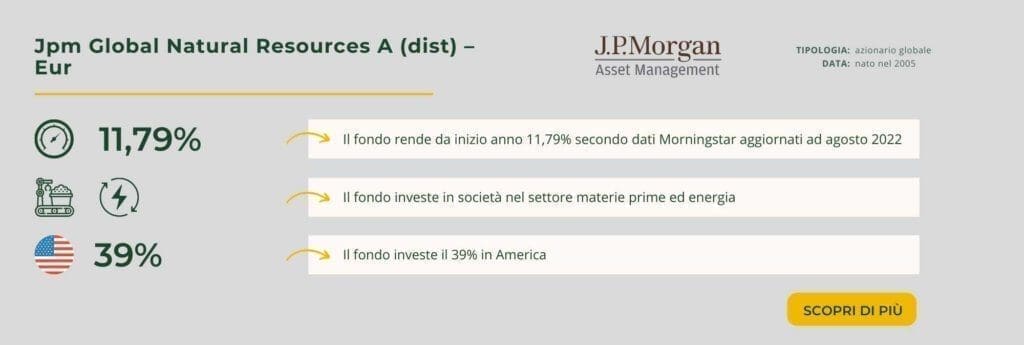 Jpm Global Natural Resources A (dist) – Eur