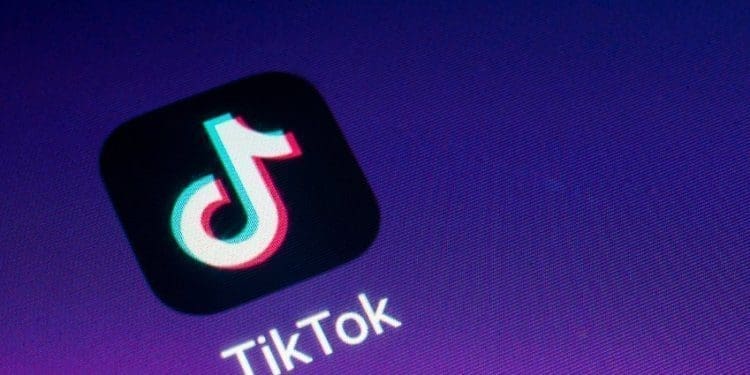 tiktok-elezioni-italiane-investire