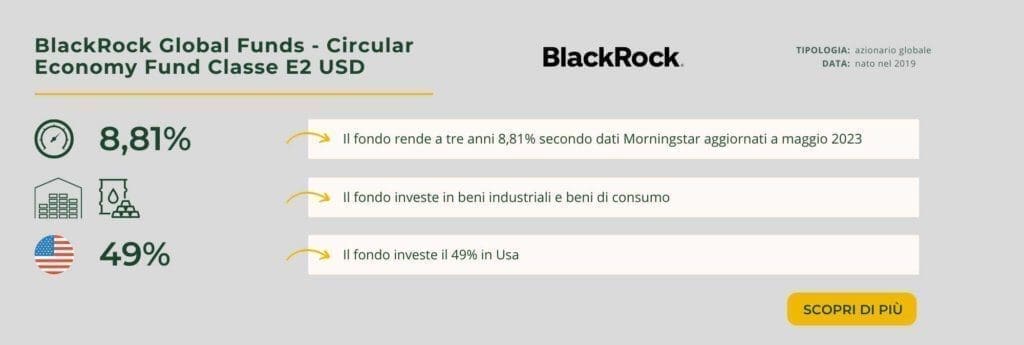 BlackRock Global Funds - Circular Economy Fund Classe E2 USD