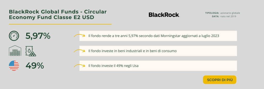 BlackRock Global Funds - Circular Economy Fund Classe E2 USD