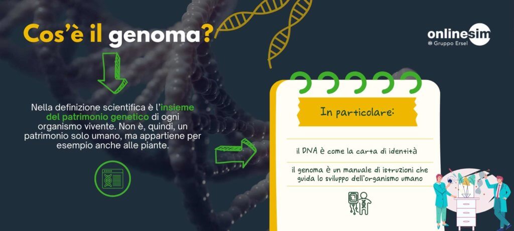 Cos’è il genoma
