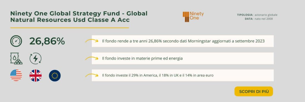 Ninety One Global Strategy Fund - Global Natural Resources Usd Classe A Acc