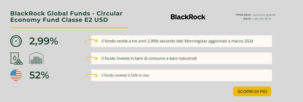 BlackRock Global Funds - Circular Economy Fund Classe E2 USD